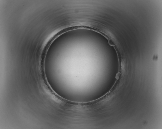 X0000113280780200909211038