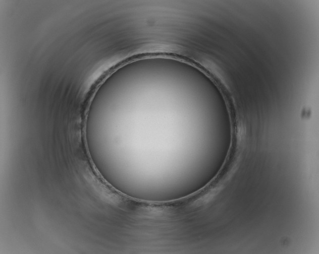 X0000113280781200909211038