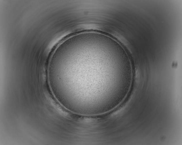 X0000113280782200909211038