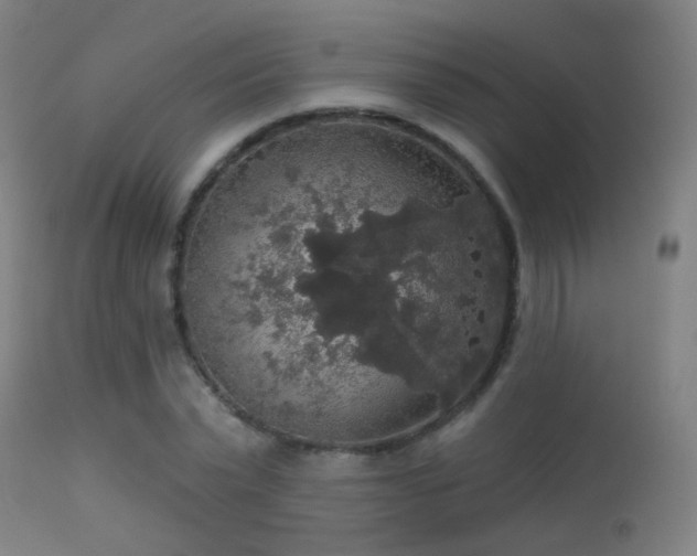 X0000113280783200909211038