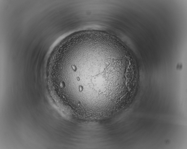 X0000113280784200909211038