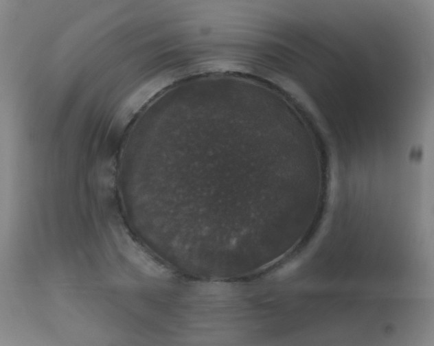 X0000113280785200909211038