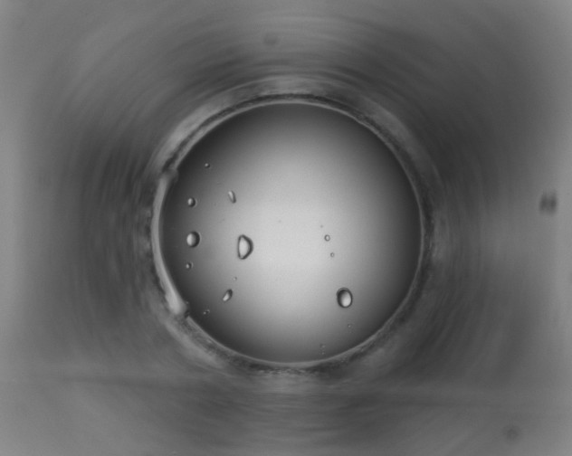 X0000113280786200909211038