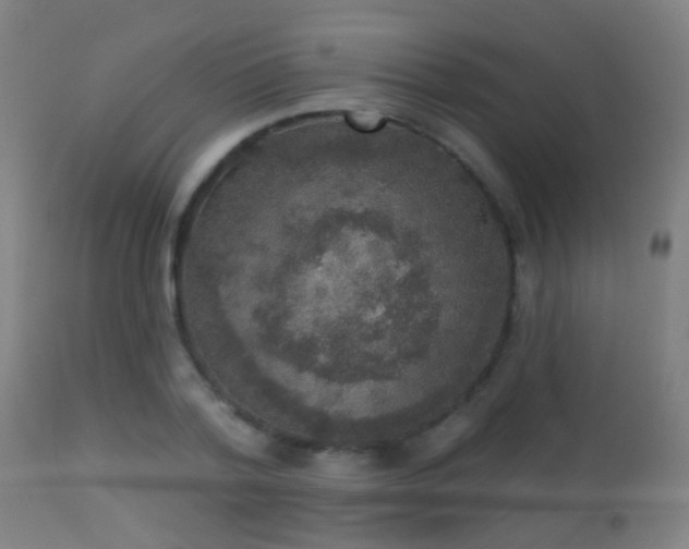 X0000113280788200909211038