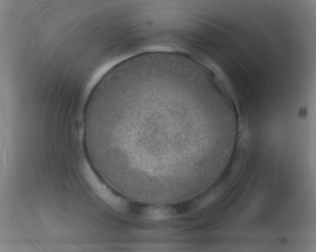 X0000113280795200909211038