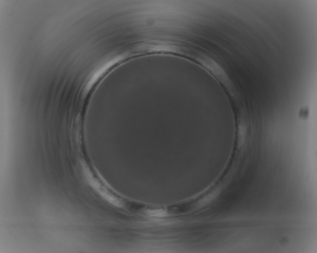 X0000113280798200909211038