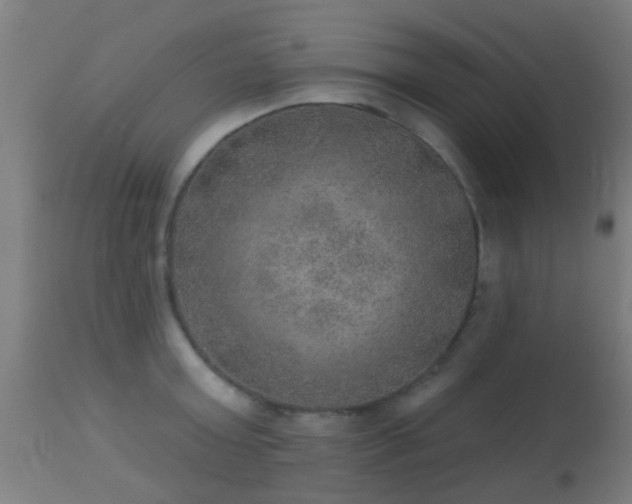 X0000113280803200909211038