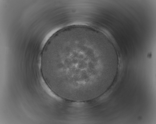 X0000113280804200909211038