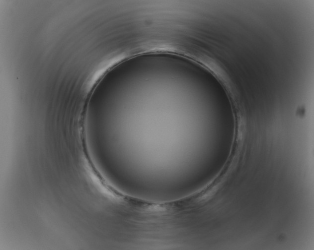 X0000113280806200909211038