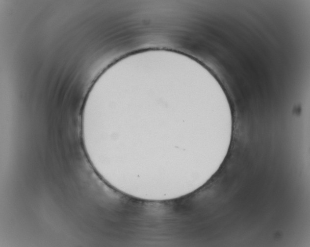 X0000113280807200909211038