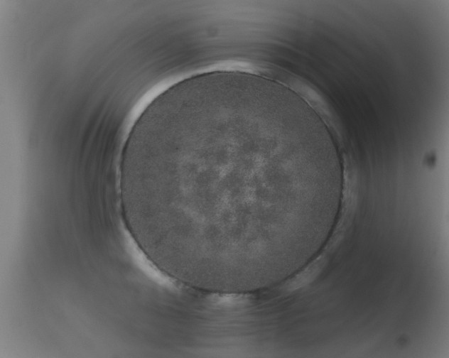 X0000113280808200909211038