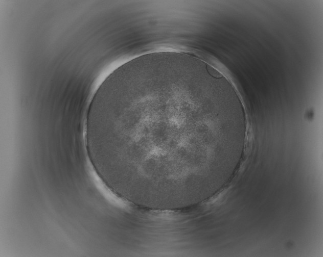 X0000113280811200909211038