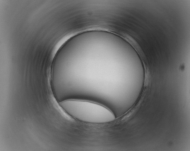 X0000113280812200909211038