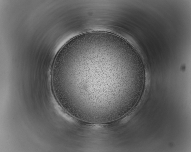 X0000113280814200909211038