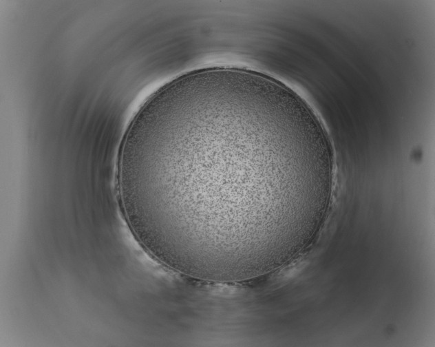 X0000113280815200909211038