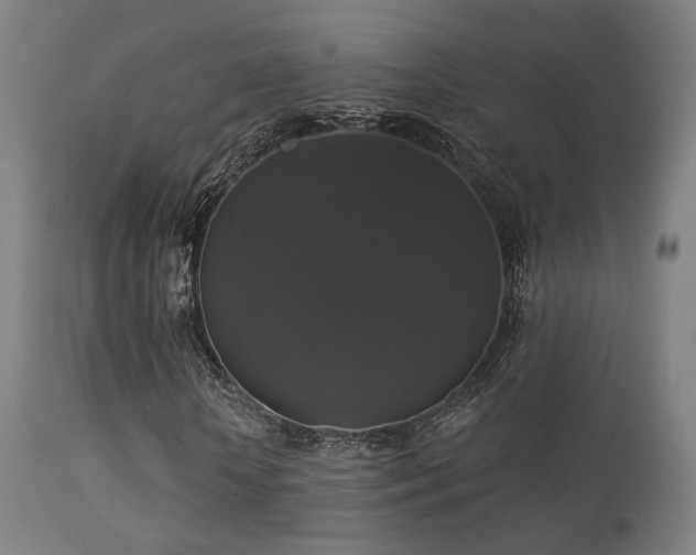 X0000113280818200909211037