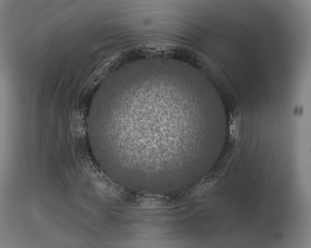 X0000113280819200909211037