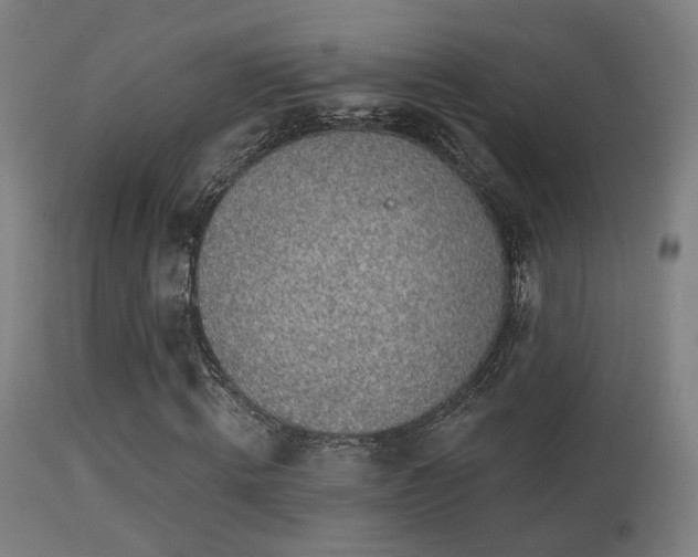 X0000113280820200909211037