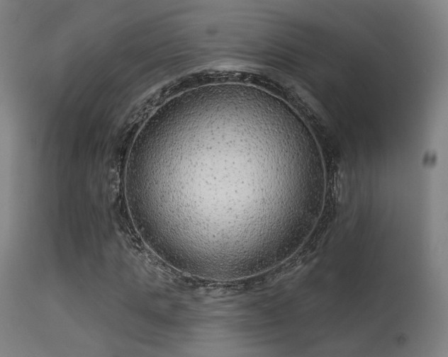 X0000113280821200909211037