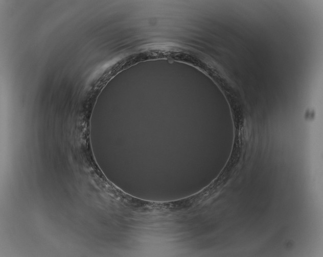 X0000113280822200909211037