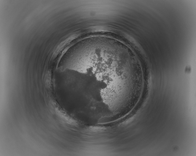 X0000113280825200909211037