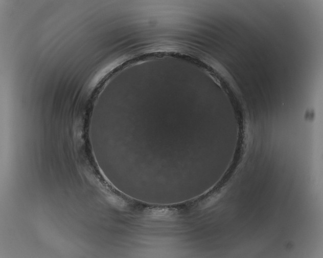 X0000113280826200909211037