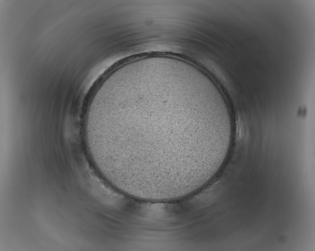 X0000113280828200909211037