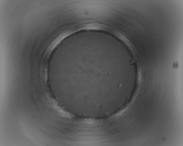 X0000113280829200909211037