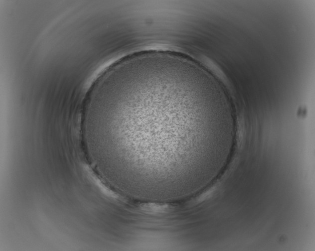 X0000113280831200909211037