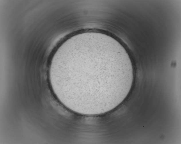 X0000113280832200909211037