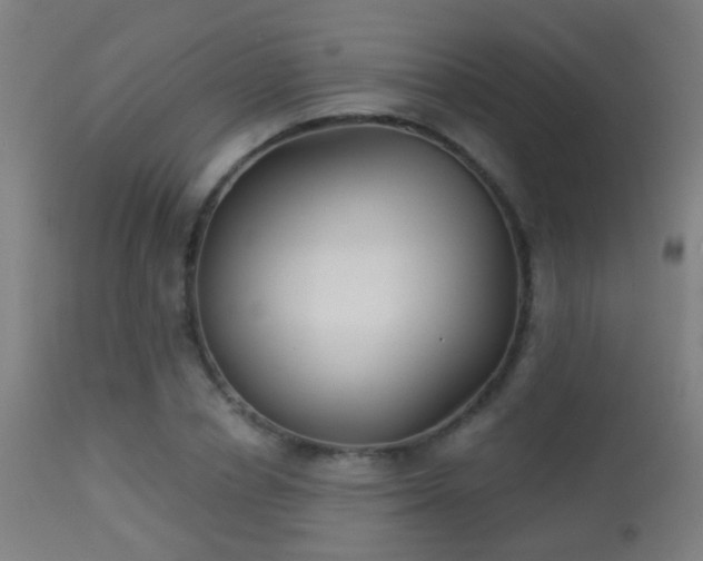 X0000113280834200909211037