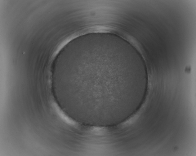 X0000113280835200909211037