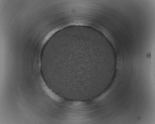 X0000113280837200909211037