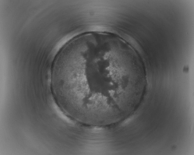 X0000113280839200909211037