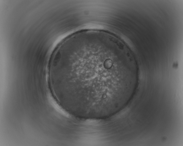 X0000113280840200909211037