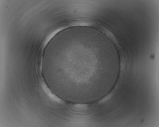 X0000113280844200909211038