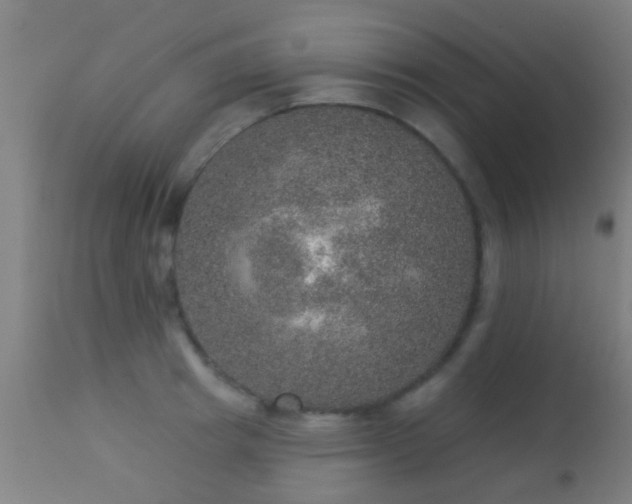 X0000113280849200909211038