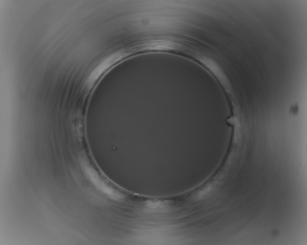 X0000113280850200909211038