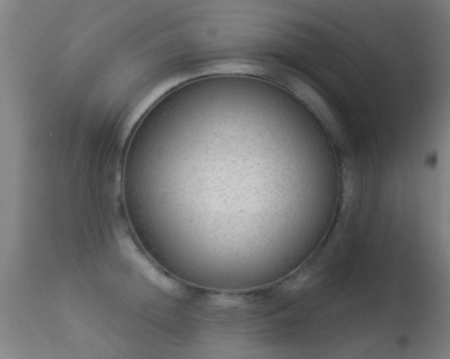 X0000113280852200909211038