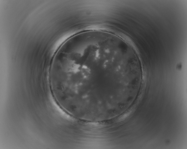 X0000113280855200909211038