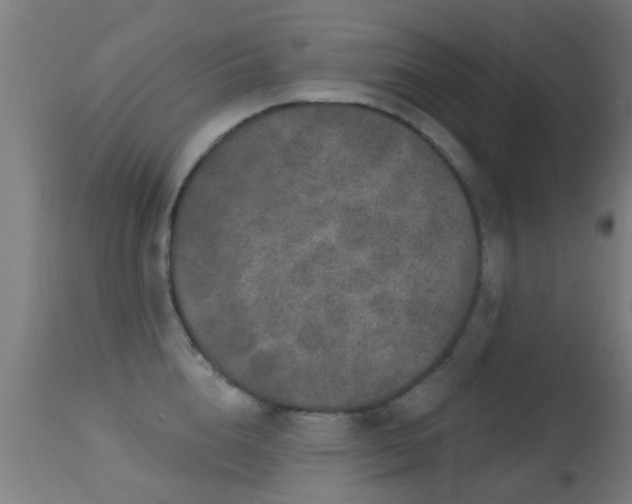 X0000113280856200909211038