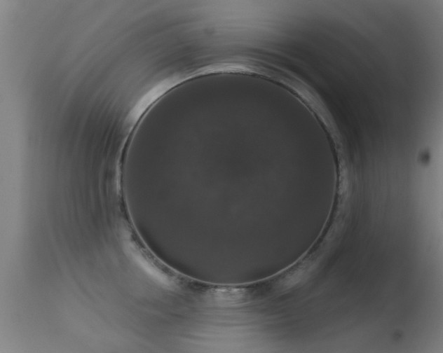 X0000113280858200909211038