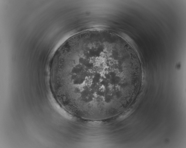 X0000113280859200909211038