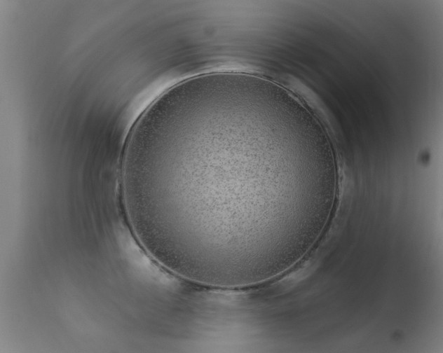 X0000113280860200909211038