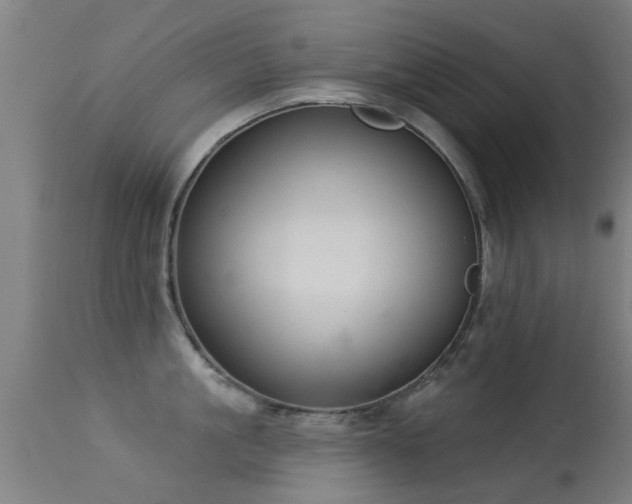 X0000113280861200909211038