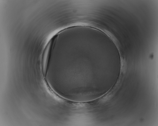 X0000113280862200909211038