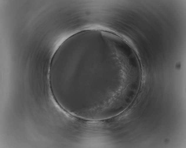 X0000113280863200909211038