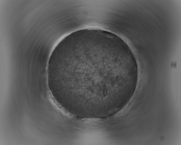 X0000113280864200909211038