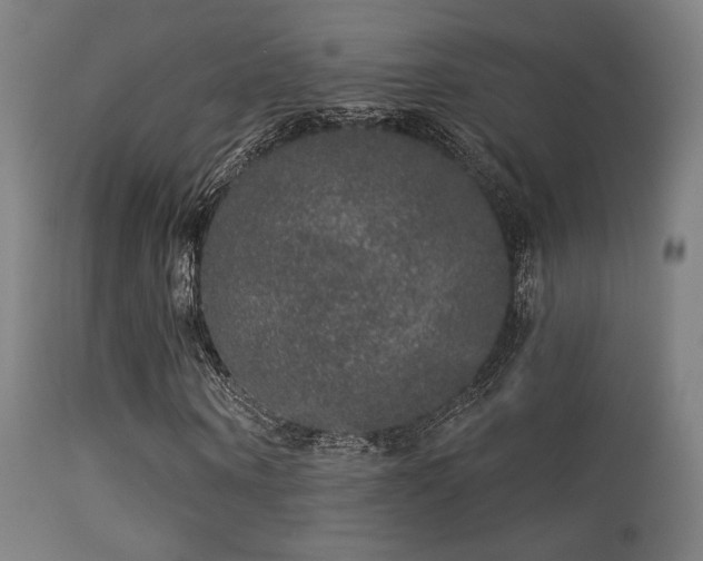 X0000113280866200909211037