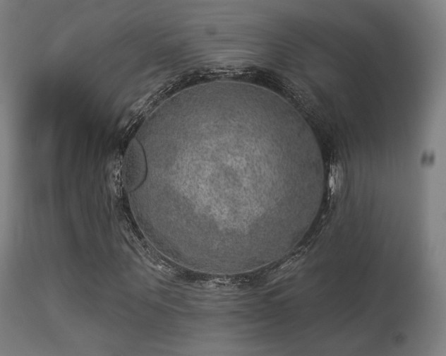 X0000113280867200909211037